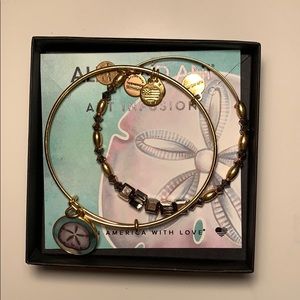 Alex and Ani Sand Dollar Bracelet Set